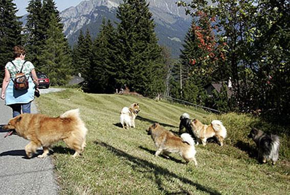 Auf dem Heimweg.jpg - Den Rückweg gehen wir zu Fuss